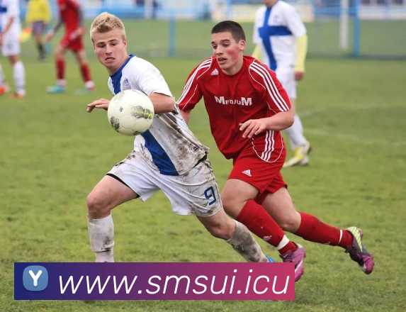 九游(NINE GAME)体育·官方网站 - 中国智慧体育科技领导者品牌故事