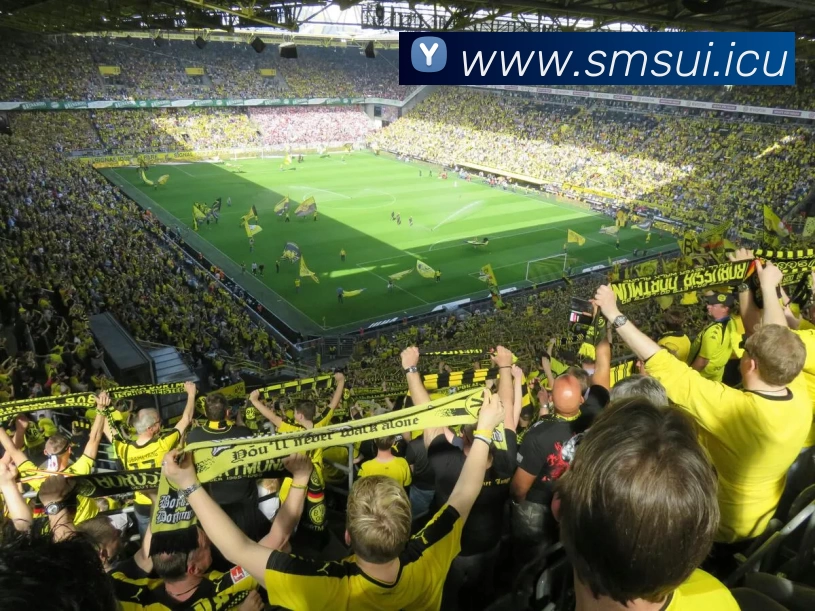 九游(NINE GAME)体育·官方网站 - 中国智慧体育科技领导者服务体系